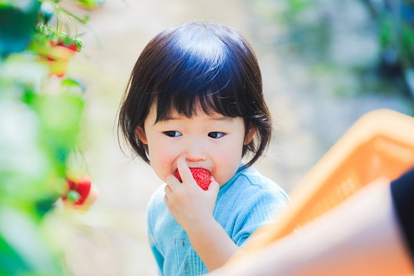 3月の2歳児の写真
