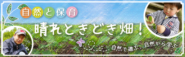 晴れときどき畑!TOP