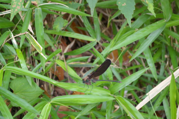 20170202_60.jpg