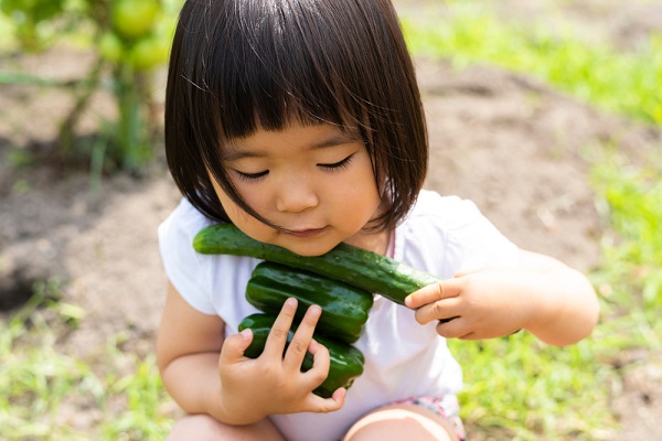 お盆期間は保育園でどう過ごす 遊びのアイデアや 行事の意味を子ども向けに説明する言い換え例 保育士求人なら 保育士バンク
