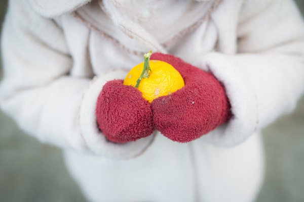 冬至とは かぼちゃを食べる意味やゆず湯に入る理由 子どもに伝える方法 保育士求人なら 保育士バンク