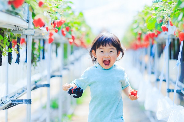 【5月の製作】0歳児・1歳児・2歳児の乳児向けアイデア。いちごやてんとう虫