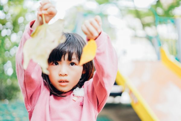 保育園で楽しむ秋の自然遊び14選!落ち葉やどんぐり、松ぼっくりを活用しよう