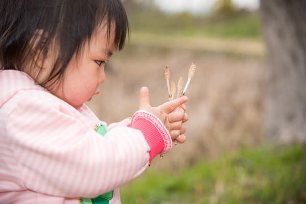 つくしと子ども
