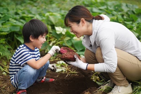 芋ほりする子どもと大人