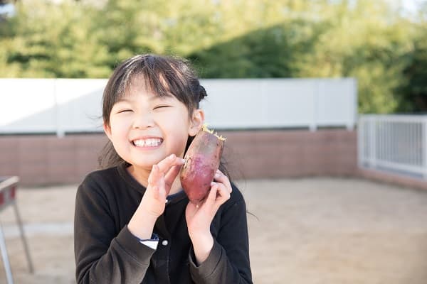 10月13日はさつまいもの日!由来や保育園での過ごし方、活動のアイデアを紹介