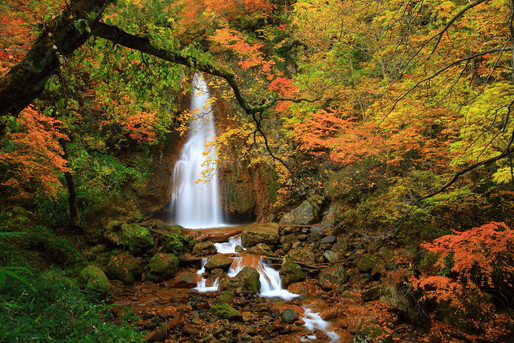 山 滝