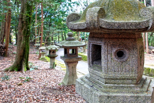 寺