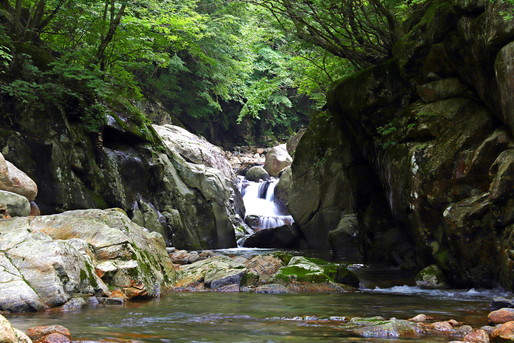 自然 滝と川