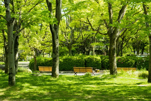 公園