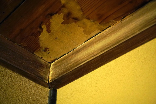 ホテルの老朽化がもたらすお客様の不満とは 古いホテルが取るべき対処方法を解説 ホテル 宿泊業界情報コラム おもてなしhr