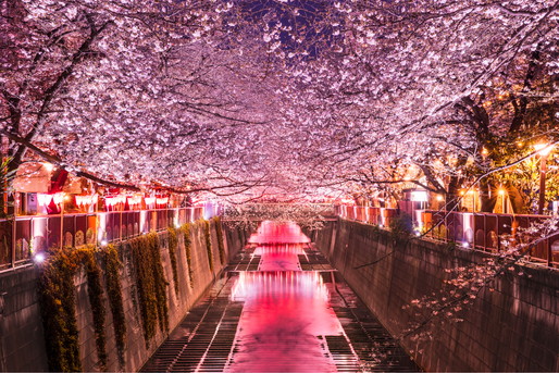 夜景