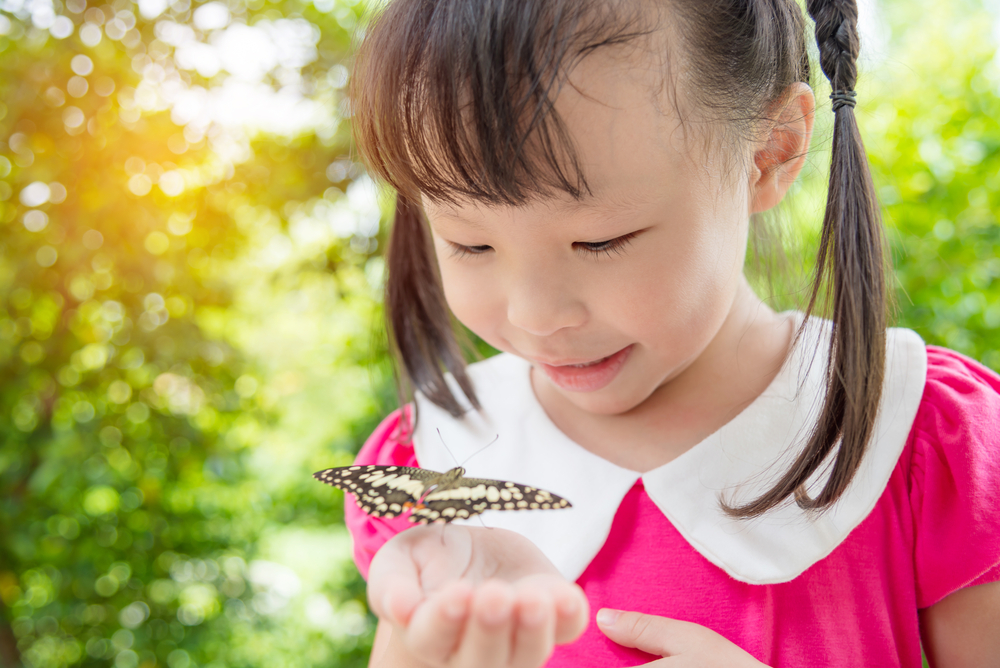 【10の姿】「自然との関わり・生命尊重」 幼児期の終わりまでに育ってほしいの姿