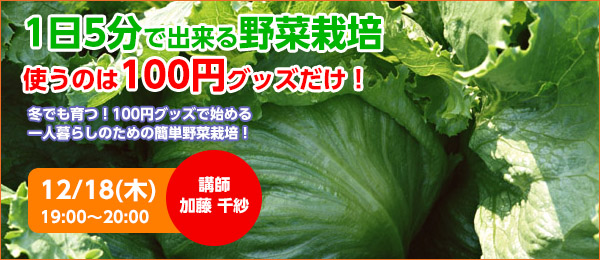 冬でも育つ！100円グッズで始める一人暮らしのための簡単野菜栽培！