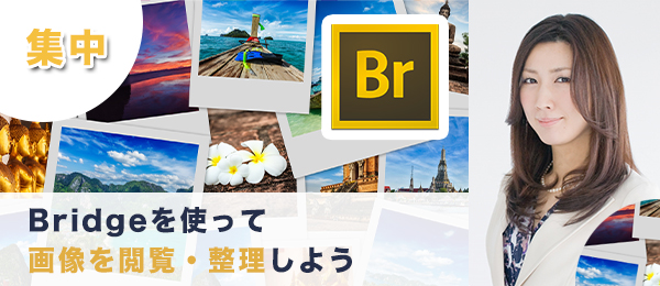 Adobe BridgeとPhotoshopを使った効率的な画像の閲覧・整理・処理