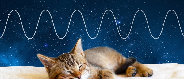 ［睡眠学 #2］潜在患者数は300万人？ 21世紀の現代病、睡眠時無呼吸症候群を解説