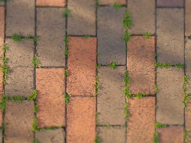 "ヨーロッパ風のアプローチ" にしたいなら、天然石を使うのがおすすめ♡