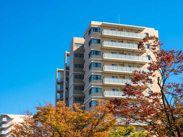「今さら聞けない」住むなら戸建てとマンションどっちがいいの?