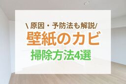 壁紙のカビがひどい！おすすめの掃除方法4選＆業者に依頼する際のポイントや原因・予防法も解説