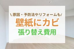 カビが発生した壁紙を張り替える費用の相場は？カビの原因・予防対策と、おすすめのリフォームをご紹介
