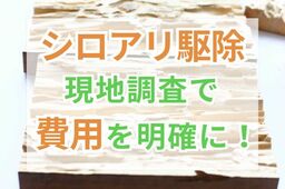シロアリ駆除＆予防の費用相場！診断・調査は無料でできる？