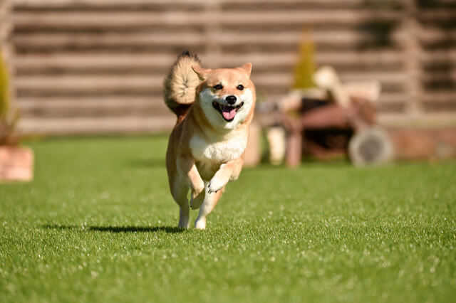 ルーフバルコニー 屋上テラス のリフォーム費用 メンテナンスは大変 メリット デメリットや注意点は リフォーム費用の一括見積り リショップナビ