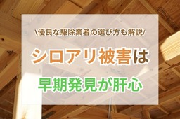シロアリ被害の早期発見と予防対策5選｜駆除業者の選び方も解説