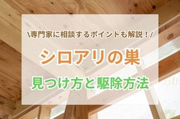 シロアリの巣の見つけ方と駆除・予防法7選
