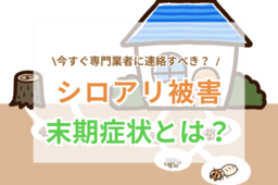 シロアリ被害の末期症状とは？｜今すぐ対策が必要な危険サインや応急処置の方法