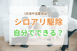 シロアリ駆除は自分でできる？方法や注意点は？