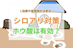 シロアリ対策でホウ酸は有効？期待できる効果や使用時の注意点