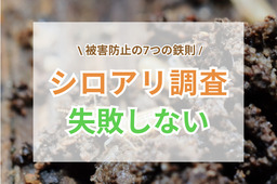 シロアリ調査で失敗しない！被害防止の鉄則