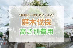 庭木伐採の費用相場はどれくらい?高さ別料金から処分費用まで詳しくご紹介