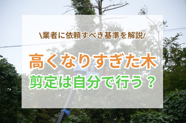 高くなりすぎた木のを剪定｜自分で行う場合・業者に依頼する場合の基準を解説