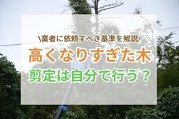 高くなりすぎた木の剪定｜自分で行う場合・業者に依頼する場合の基準を解説