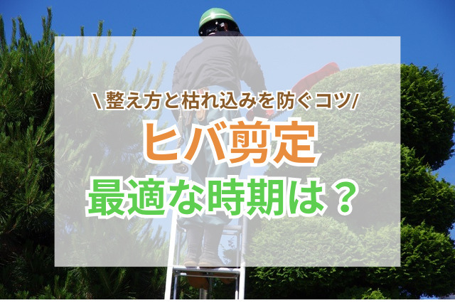 ヒバの剪定時期と整え方｜枯れ込みを防ぐコツ