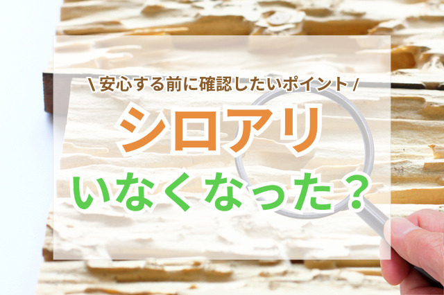 シロアリがいなくなったと思ったら？安心する前に確認したいポイント