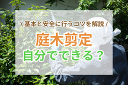 庭木の剪定は自分でできる？基本と安全に行うコツを解説