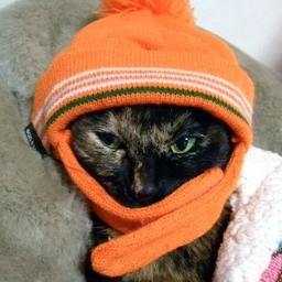 お部屋の寒さ対策が冬の電気代削減に繋がる！手軽にできる方法9選