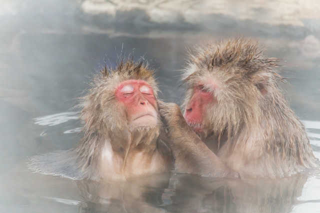 炭酸風呂の効果と効能
