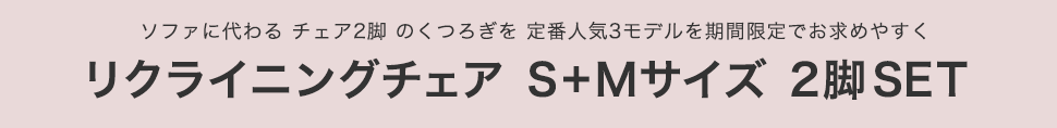 リクライニングチェア S+Mサイズ 2脚 SET