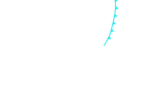 Jmap4 640x440 2025111821 t060