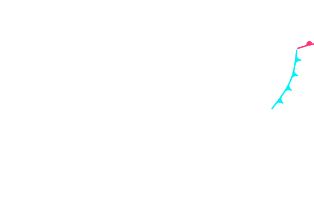 Jmap4 640x440 2026011821 t156