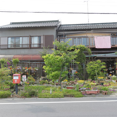ビフォー画像1