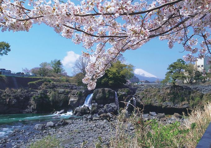静岡県東部 駿東郡長泉町の暮らしに役立つ統計情報 イエタテ