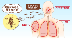 【家づくりラボ】② 湿度を快適に維持する家づくり3つの条件