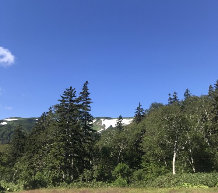 緑岳①