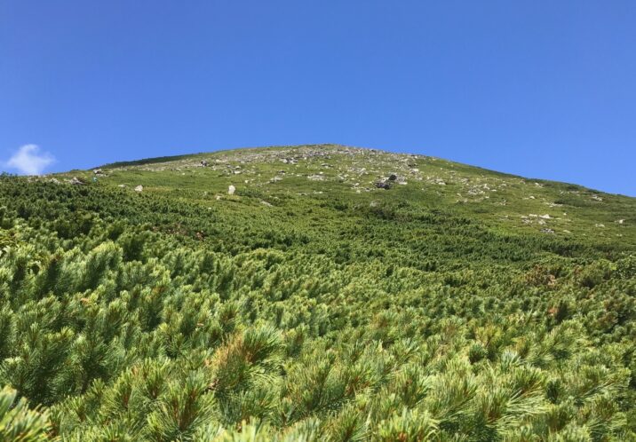 緑岳⑥