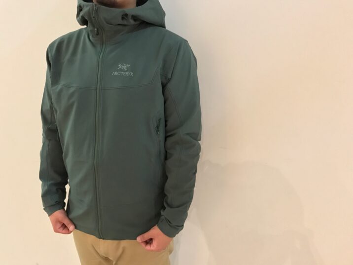 Gamma Lt Hoody Mens