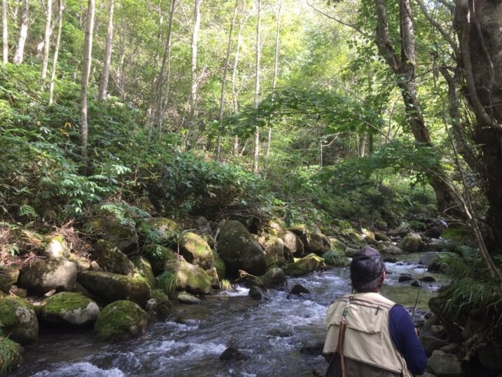 山岳渓流風景